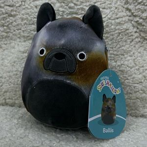 !!ON HOLD!! 5/$20💛- 5” Ballis Squishmallow
